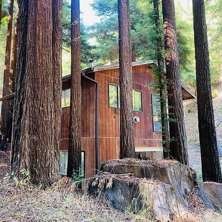 가버빌 Little House In The Redwoods With A Hot Tub! 아파트 외부 사진