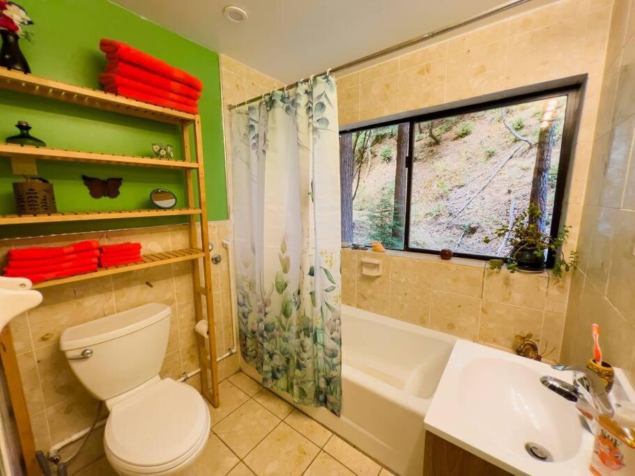 가버빌 Little House In The Redwoods With A Hot Tub! 아파트 외부 사진
