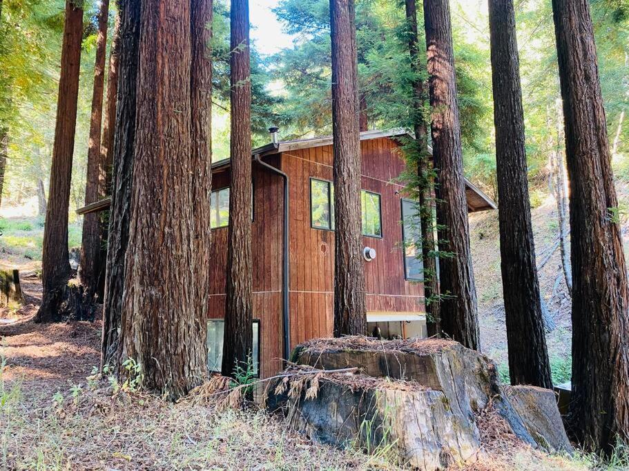 가버빌 Little House In The Redwoods With A Hot Tub! 아파트 외부 사진